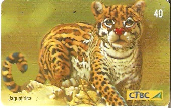 CTBC-T-0759 - Felinos - 5/5